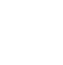 個別審査制